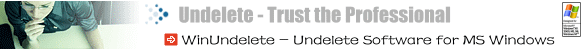 Windows Undelete Logo